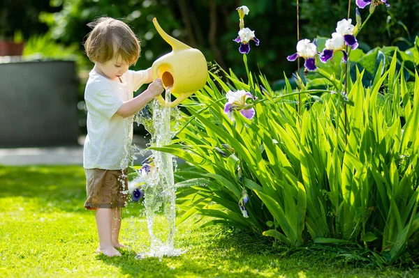 可爱的金发碧眼的小宝宝在花园里用水壶浇灌植物 在阳光灿烂的夏日 孩子们在后院帮父母种花 — 图库照片