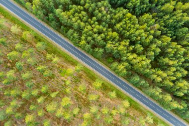 Aerial top down view of summer forest with two-lane road among pine trees. Beautiful summer scenery near Vilnius city, Lithuania