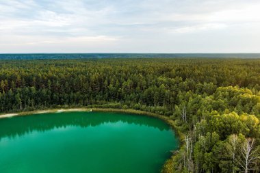 Gela Gölü 'nün güzel yeşil sularının havadan görünüşü. Çam ormanlarıyla çevrili zümrüt göl manzaralı kuş bakışı. Litvanya 'nın Vilnius kenti yakınlarındaki Gela gölünde yansıyan bulutlar.
