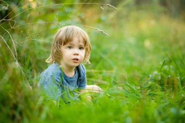 可爱的蹒跚学步的男孩在美丽的阳光明媚的夏日在森林里散步时很开心 有孩子的积极的家庭休闲 探索自然的儿童 — 图库照片