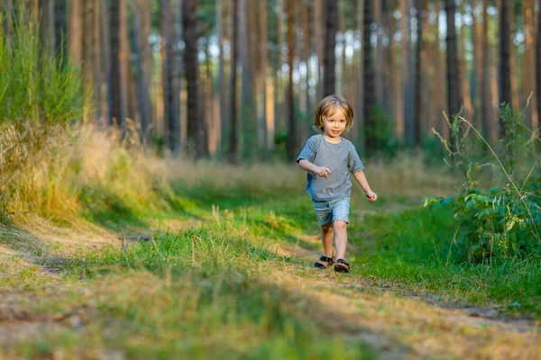 Чарівний Маленький Хлопчик Розважається Під Час Походу Ліс Красивий Сонячний — стокове фото