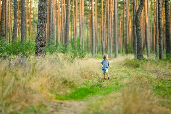 Bedårande Liten Pojke Som Har Roligt Vandring Skogen Vackra Soliga — Stockfoto