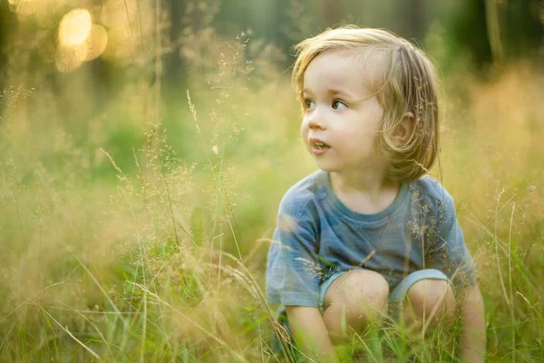 Чарівний Маленький Хлопчик Розважається Під Час Походу Ліс Красивий Сонячний — стокове фото