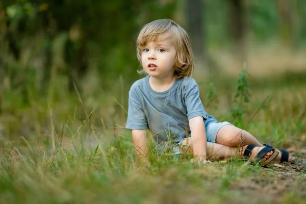 Adorable Toddler Boy Having Fun Hike Woods Beautiful Sunny Summer — Stock Photo, Image