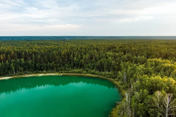 Flygfoto Över Vackra Gröna Vatten Sjön Gela Fåglar Syn Natursköna — Stockfoto