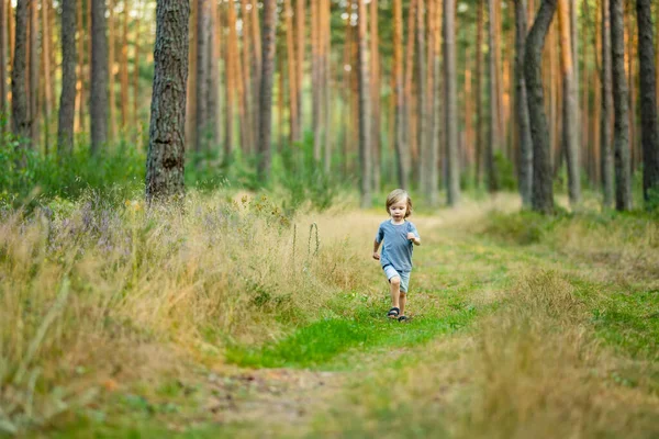 Adorable Niño Divirtiéndose Durante Una Caminata Bosque Hermoso Día Soleado — Foto de Stock