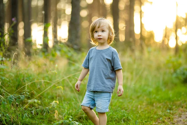 Roztomilý Batole Chlapec Baví Během Túry Lese Krásné Slunné Letní — Stock fotografie