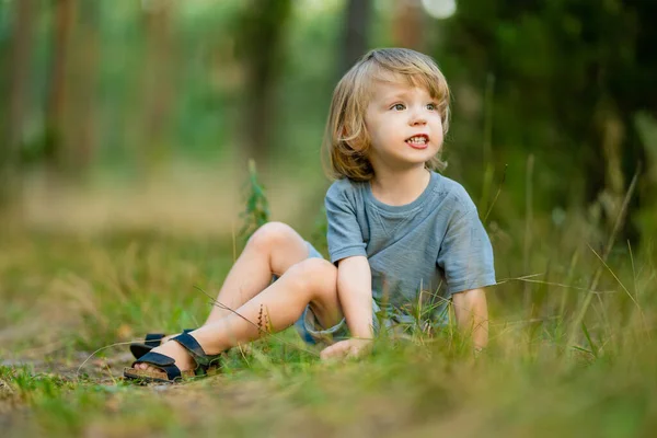 Menino Adorável Criança Divertindo Durante Uma Caminhada Floresta Belo Dia — Fotografia de Stock
