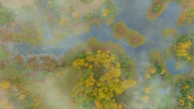 Amazing aerial foggy top-down view of Kirkilai karst lakelets in the bright autumn morning, the unique region with high concentration of sinkholes, exceptional water bodies. Birzai, Lithuania