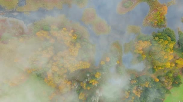 明るい秋の朝にKirkilaカルスト湖の素晴らしい空中霧のトップダウンビュー 陥没穴の高濃度 例外的な水の体を持つユニークな地域 リトアニアのビルザイ — ストック動画