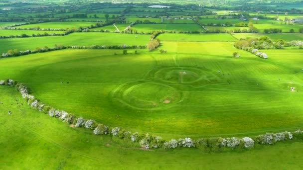 古代のモニュメントの数を含む考古学的な複合体 タラの丘の航空写真 アイルランドのハイキング ミース アイルランドの座席として使用 — ストック動画