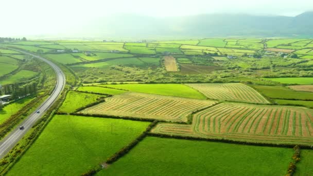 Veduta Aerea Infiniti Pascoli Lussureggianti Terreni Agricoli Della Penisola Irelands — Video Stock