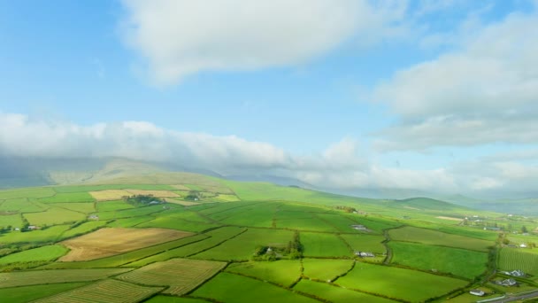 Uitzicht Vanuit Lucht Eindeloze Weelderige Weiden Landbouwgronden Van Het Ierse — Stockvideo