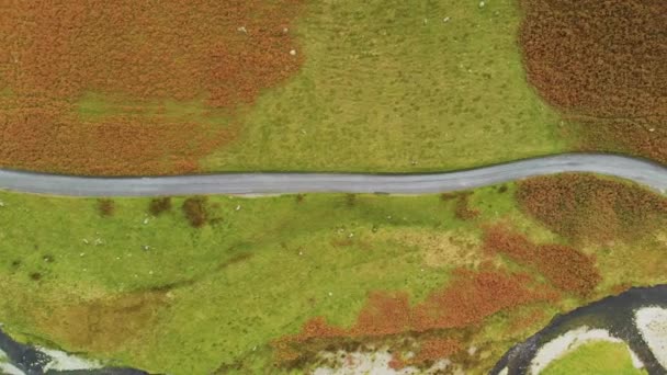 Letecký Pohled Průsmyk Honister Pass Horský Průsmyk Cestou Vinoucí Podél — Stock video