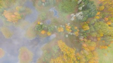 Amazing aerial foggy top-down view of Kirkilai karst lakelets in the bright autumn morning, the unique region with high concentration of sinkholes, exceptional water bodies. Birzai, Lithuania