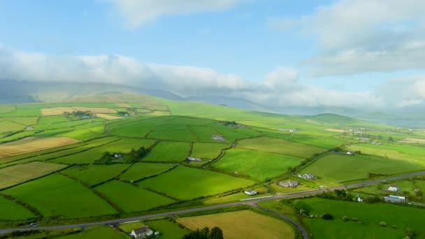 無限の緑豊かな牧草地やアイルランドディングル半島の農地の空中ビュー エメラルドグリーンのフィールドと牧草地と美しいアイルランドの田舎 日没の田園風景 — ストック動画