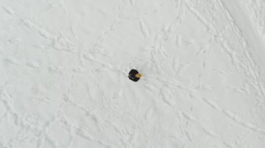 Aerial top-down view of a man launching drone in a snow covered pine forest. Flying over and shooting rime ice and hoar frost covering trees. Modern technologies in scenic winter landscape.