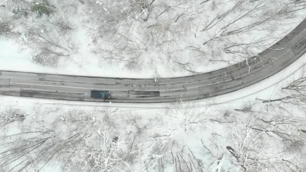 Beautiful Aerial Top View Snow Covered Pine Forest Road Winding — Stockvideo