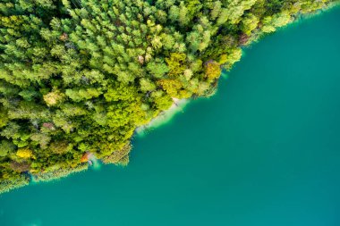 Verkiai Bölgesel Parkı 'ndaki altı Yeşil Gölden biri olan güzel Balsys Gölü' nün hava manzarası. Çam ormanlarıyla çevrili zümrüt göl manzaralı kuş bakışı. Vilnius şehri, Litvanya.