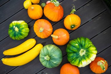 Çiftçi pazarında dekoratif turuncu balkabakları sergileniyor. Güneş ışığında turuncu süs balkabakları.