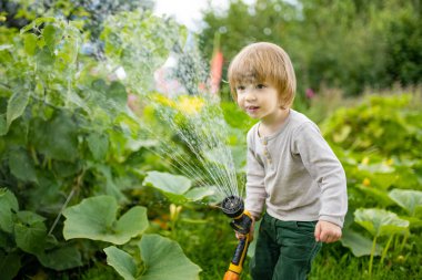 Cute toddler boy watering flower beds in the garden at summer day. Child using garden hose to water vegetables. Kid helping with everyday chores. Mommys little helper.