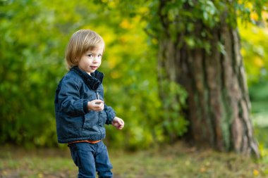 Komik çocuk güneşli bir sonbahar gününde dışarıda eğleniyor. Doğayı keşfeden çocuk. Şehir parkında yürüyen bir çocuk. Küçük çocuklar için sonbahar aktiviteleri.