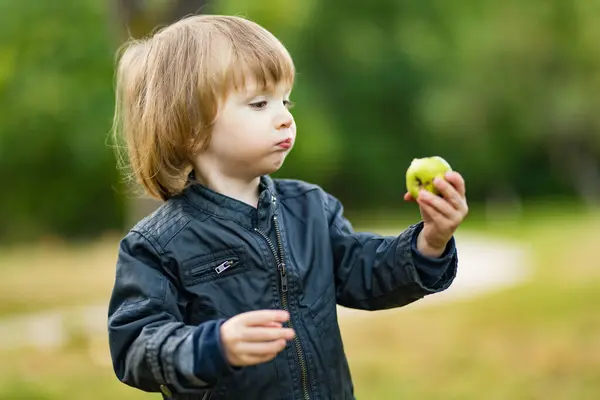 Lindo Niño Comiendo Una Manzana Huerto Manzanos Día Verano Niño —  Fotos de Stock