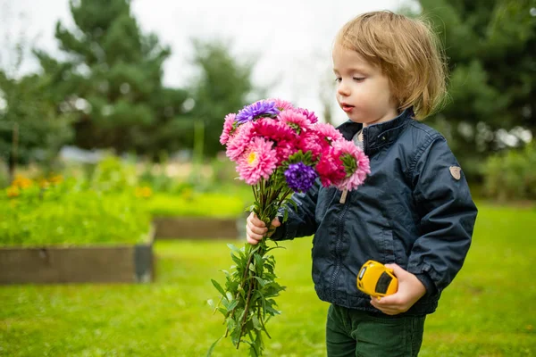 Leuke Peuter Jongen Met Een Bos Van Kleurrijke Aster Bloemen — Stockfoto