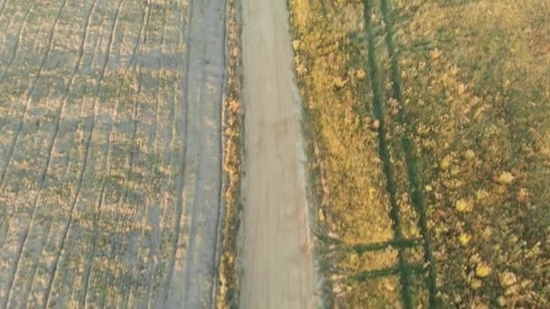 Beautiful Aerial Top View Rural Landscape Plowed Field Sunset Autumn — Stock Video