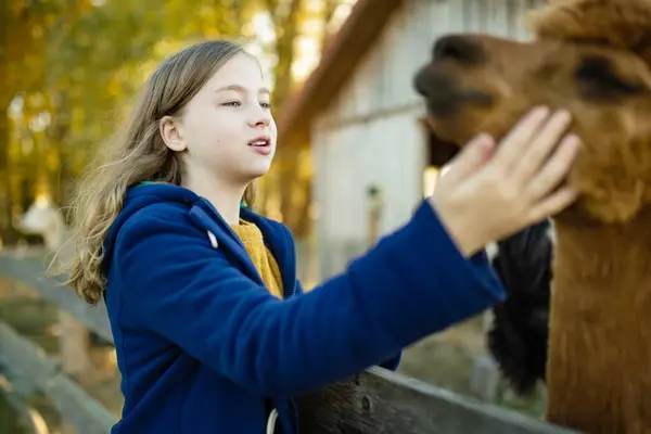 Cute Young Girl Stroking Alpaca Farm Zoo Autumn Day Child — Stock Photo, Image