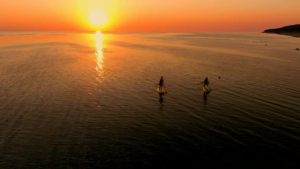 日没の静かな海の上にパドルボード上の2人の空中ビュー 暖かい夏のビーチ休暇の休日 海辺でアクティブなレジャー Sup活動 — ストック動画