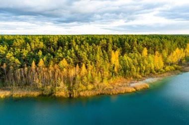 Gela Gölü 'nün güzel yeşil sularının havadan görünüşü. Çam ormanlarıyla çevrili zümrüt göl manzaralı kuş bakışı. Litvanya 'nın Vilnius kenti yakınlarındaki Gela gölünde yansıyan bulutlar.