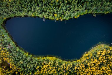 Gela Gölü 'nün güzel yeşil sularının havadan görünüşü. Çam ormanlarıyla çevrili zümrüt göl manzaralı kuş bakışı. Litvanya 'nın Vilnius kenti yakınlarındaki Gela gölünde yansıyan bulutlar.