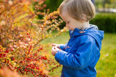 Komik çocuk güneşli bir sonbahar gününde dışarıda eğleniyor. Doğayı keşfeden çocuk. Şehir parkında oynayan bir çocuk. Küçük çocuklar için sonbahar aktiviteleri.