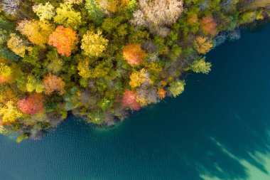 Verkiai Bölgesel Parkı 'ndaki altı Yeşil Gölden biri olan güzel Balsys Gölü' nün hava manzarası. Çam ormanlarıyla çevrili zümrüt göl manzaralı kuş bakışı. Vilnius şehri, Litvanya.