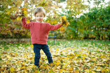 Komik çocuk güneşli bir sonbahar gününde dışarıda eğleniyor. Doğayı keşfeden çocuk. Şehir parkında oynayan bir çocuk. Küçük çocuklar için sonbahar aktiviteleri.