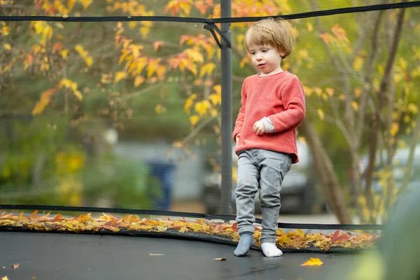 Cute toddler boy jumping on a trampoline in a backyard on warm and sunny autumn day. Sports and exercises for children. Autumn outdoor leisure activities.