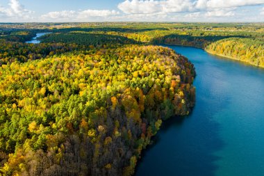 Verkiai Bölgesel Parkı 'ndaki altı Yeşil Gölden biri olan güzel Balsys Gölü' nün hava manzarası. Çam ormanlarıyla çevrili zümrüt göl manzaralı kuş bakışı. Vilnius şehri, Litvanya.