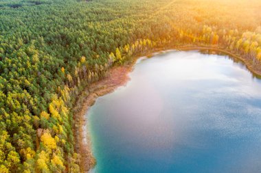 Gela Gölü 'nün güzel yeşil sularının havadan görünüşü. Çam ormanlarıyla çevrili zümrüt göl manzaralı kuş bakışı. Litvanya 'nın Vilnius kenti yakınlarındaki Gela gölünde yansıyan bulutlar.