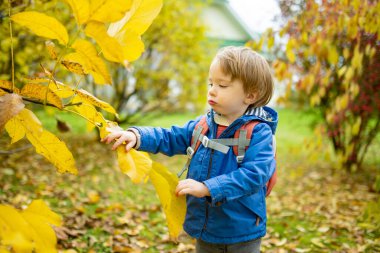 Komik çocuk güneşli bir sonbahar gününde dışarıda eğleniyor. Doğayı keşfeden çocuk. Şehir parkında oynayan bir çocuk. Küçük çocuklar için sonbahar aktiviteleri.