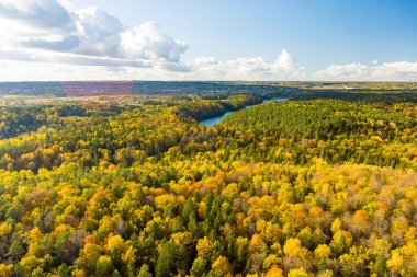 Verkiai Bölgesel Parkı 'ndaki altı Yeşil Gölden biri olan güzel Balsys Gölü' nün hava manzarası. Çam ormanlarıyla çevrili zümrüt göl manzaralı kuş bakışı. Vilnius şehri, Litvanya.