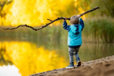 Tatlı çocuk güneşli sonbahar gününde Gela Gölü 'nün yanında eğleniyor. Litvanya 'nın Vilnius şehrinde sonbahar günü doğayı keşfeden çocuk. Çocuklar için eğlenceli sonbahar aktiviteleri.