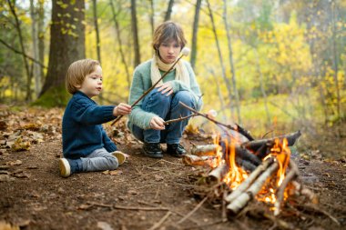 Çocuklar şenlik ateşinde çubuklarda marşmelov pişiriyor. Çocuklar kamp ateşinde eğleniyor. Sonbahar ormanlarında çocuklarla kamp yapmak. Sonbaharda çocuklarla aile eğlencesi..