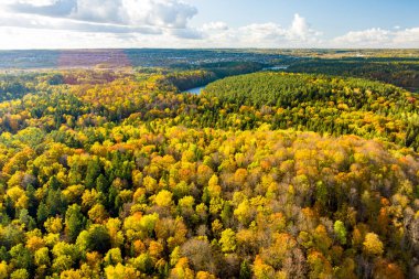 Yeşil ve sarı ağaçları ile sonbahar orman görünümünü hava üstünü. Karışık yapraklı ve iğne yapraklı orman. Güzel sonbahar sahne Vilnius city, Litvanya yakınındaki