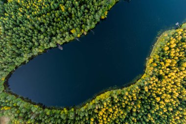 Gela Gölü 'nün güzel yeşil sularının havadan görünüşü. Çam ormanlarıyla çevrili zümrüt göl manzaralı kuş bakışı. Litvanya 'nın Vilnius kenti yakınlarındaki Gela gölünde yansıyan bulutlar.