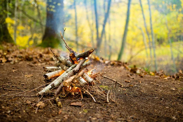 Лесной Костер Развлечение Кемпинге Семьей Друзьями Веселые Мероприятия Осенью — стоковое фото