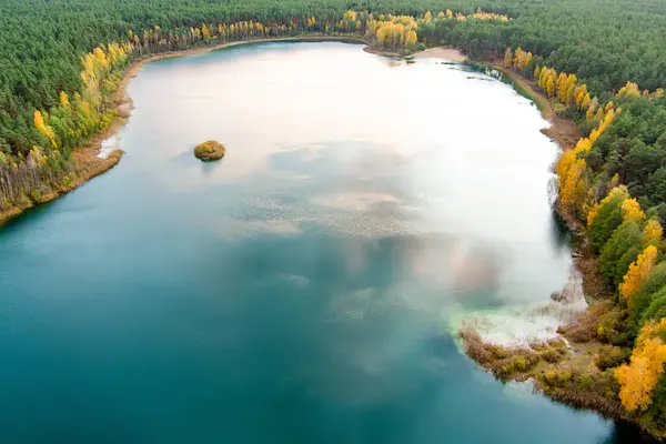 ジェラ湖の美しい緑の水の空中ビュー 松林に囲まれた風光明媚なエメラルド湖の鳥の目のビュー リトアニアのヴィリニュス市近くのジェラ湖に反射する雲 — ストック写真