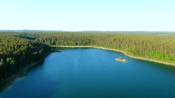 空中明亮的夏夜景色映衬着美丽的Gela湖绿水 环绕着松树林的美丽翡翠湖鸟瞰 立陶宛 — 图库视频影像