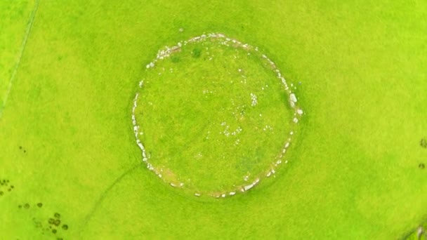 Aerial Top View Female Tourist Exploring Famous Beltany Stone Circle — Video Stock