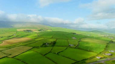 Uçsuz bucaksız yemyeşil otlakların ve Ireland 'ın Dingle Yarımadası' nın tarım arazilerinin havadan görünüşü. Zümrüt yeşili tarlaları ve çayırları olan güzel İrlanda kırsalları. Gün batımında kırsal alan.